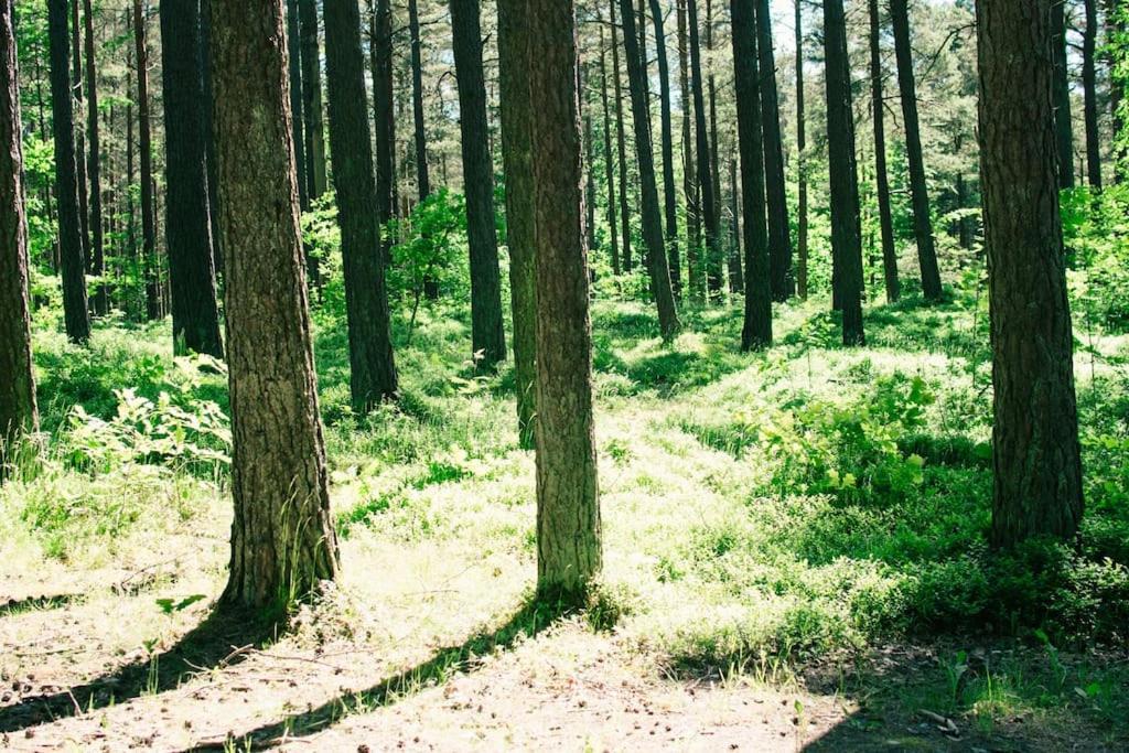 Trojmiasto Nad Jeziorem Dom -Echochata Kamień Exteriör bild